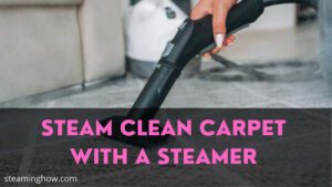 how to use a garment steamer to clean carpet