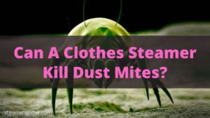 can a clothes steamer kill dust mites