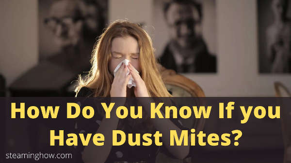 how do you know if you have dust mites