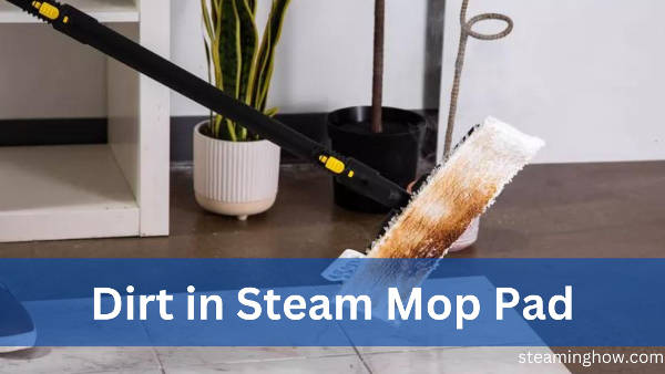 dirt in the steam mop pad