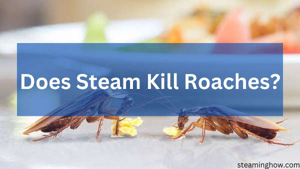 does steam kill roaches