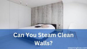 can you steam clean walls