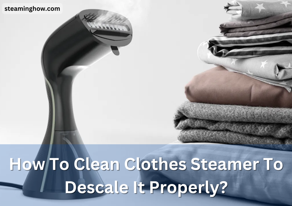 How To Clean Clothes Steamer To Descale It Properly?