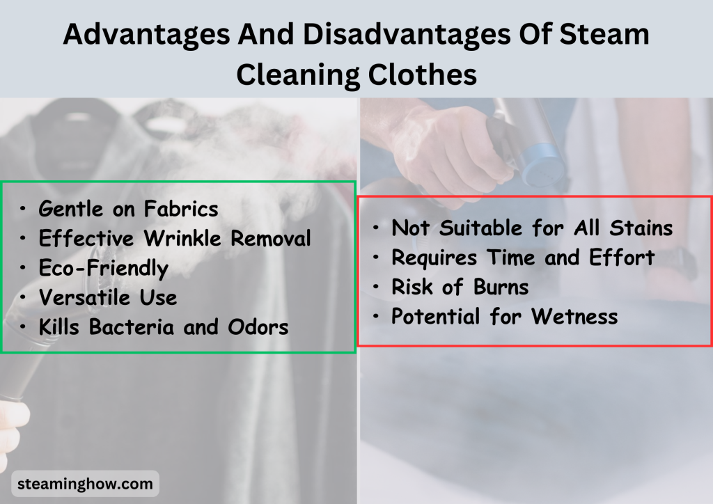 Advantages And Disadvantages Of Steam Cleaning Clothes