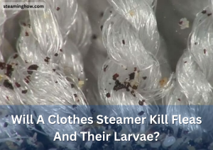 Will A Clothes Steamer Kill Fleas And Their Larvae? (Here's How!)