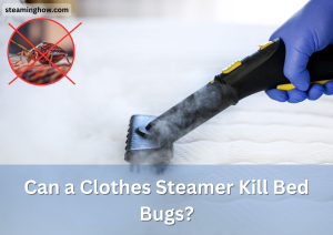 Can a Clothes Steamer Kill Bed Bugs And Their Eggs Instantly