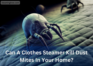 Can A Clothes Steamer Kill Dust Mites In Your Home?