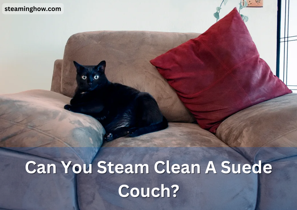 Can You Steam Clean A Suede Couch?