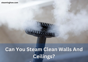 Can You Steam Clean Walls And Ceilings?