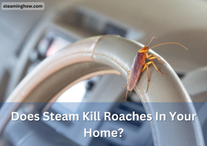 Does Steam Kill Roaches In Your Home?