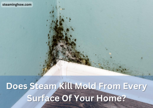 Does Steam Kill Mold From Every Surface Of Your Home?